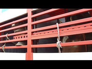 Horses transported long-distances across Europe to slaughter - 2018 Update