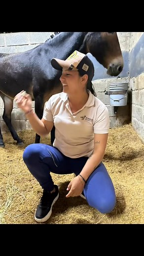 Daniela agropecuaria | Talabartería Daniela Villa