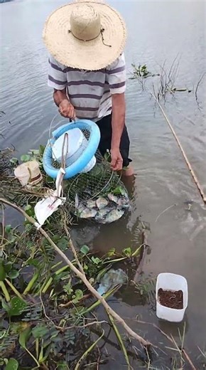 saudades do meu parceiro eterno de pescarias, um dia nos veremos novamente....