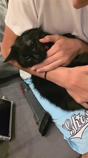 VENOM'S PARODY! @marvel @YouTubeViewers