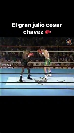 El gran julio cesar chavez 🥊 #JulioCesarChavez #boxer #box #mayweather #Peleador | Crazy about boxing