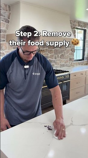 Watch this and Get Rid of Ants FAST