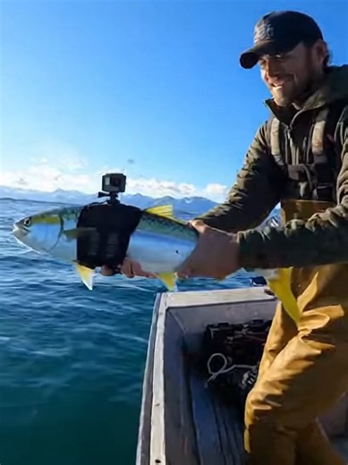 Put a GoPro On a Fish #fish #fishing #gopro #pov