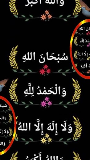 Hamidullah (@hamidullah2569)’s videos with original sound - Islamic Soul 🥰