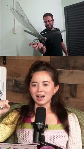 This is the largest "dragonfly" you will ever see