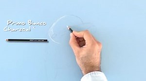 Drawing a dolphin with colored pencils