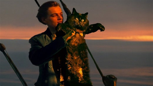 TITANIC Video Imagines Rose as a Shaggy Cat