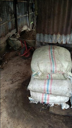 see the process of making fish pellets independently #fishing #peletikan #fish #catfish