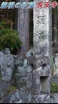 箱根の紅葉 長安寺 #箱根の秋 #箱根の紅葉 #名刹 #長安寺