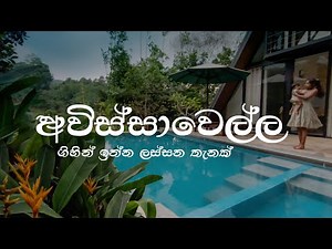 කොලඹ තියන පුංචි නුවරඑලියක් | Avissawella