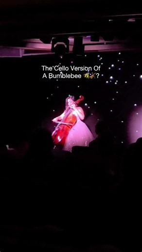 Does This Cello Masterpiece Sound Like The Bumblebee? 🐝🎻