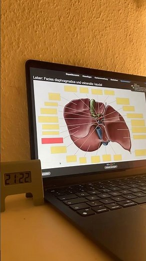 Learn anatomy🩺✨