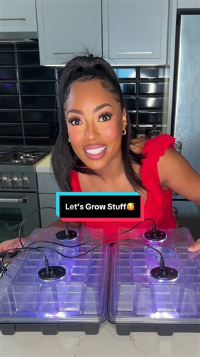 Ultimate Guide to Home Seed Sprouting and Growing