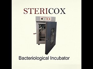 Bacteriological Incubator 37°C