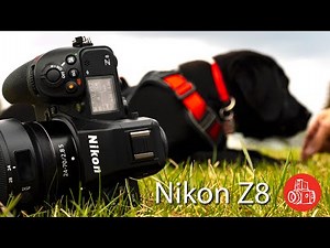 Why Everyone Can't Stop Talking About the Nikon Z8!