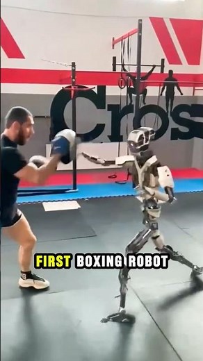 China Created Boxing Robots-and They Actually Fight!