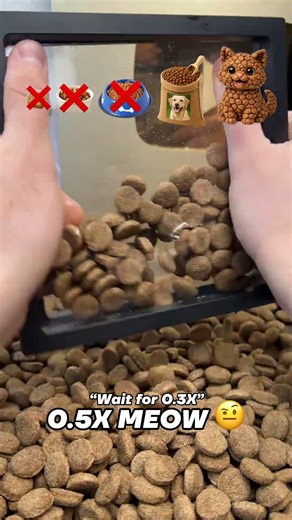 Will I find something that fits?🤔