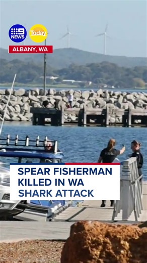 35-year-old spear fisherman killed in Albany shark attack