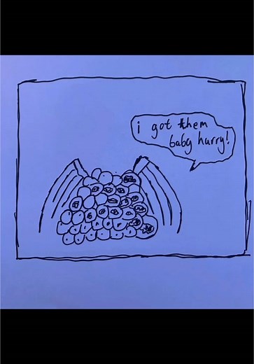 Understanding Coral Reefs in Finding Nemo