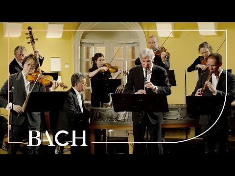 Bach - 'Brandenburg' Concerto no. 4 in G major BWV 1049 - Sato | Netherlands Bach Society