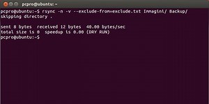 Escludere i file da rsync in Linux