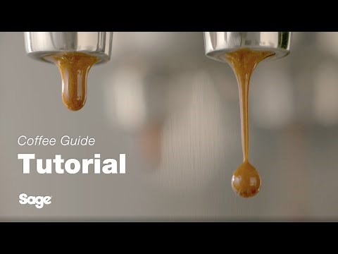 The Bambino® | A complete extraction guide for a perfectly balanced espresso | Sage Appliances UK