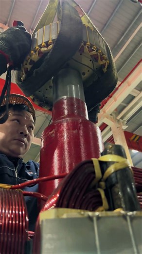 Brushless alternator rotor assembly process #generator