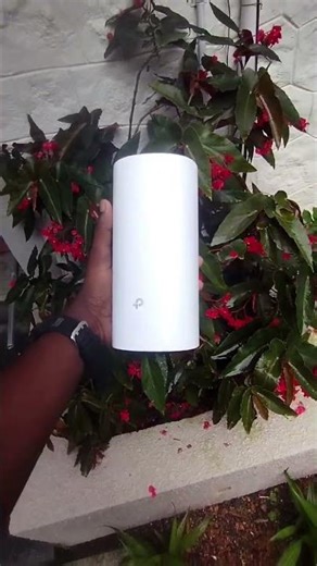 wifi mesh installation