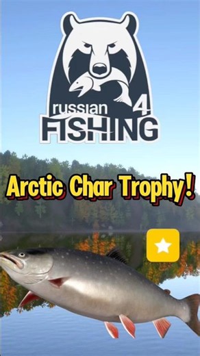 Russian Fishing 4：Arctic Char Trophy! #rf4 #russianfishing4 #fishing #俄罗斯钓鱼4