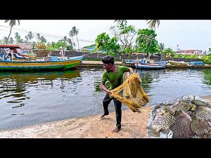 ASMR River Fishing The Sound of a Perfect Net Hit!