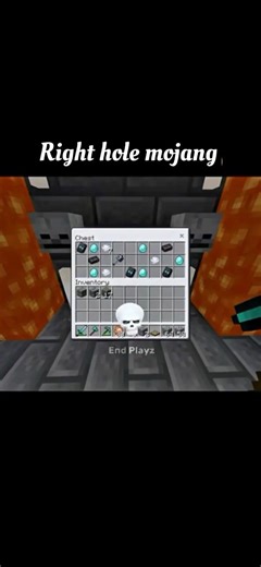 Right Hole mojang💀 #minecraft#viral#video#shorts