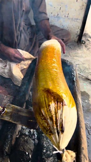 What Turns Sticky Tree Resin into Glossy Shellac?