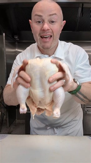 Bob Morano on Instagram: "Let's butcher a chicken #chicken"