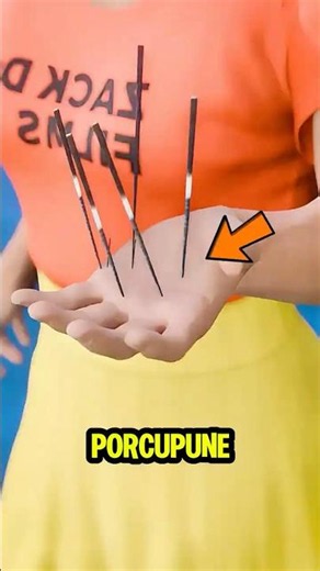 Correct Porcupine Quill Removal Technique Revealed 🦔 #lifehacks #emergency