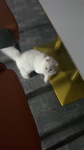 Kmngug5@k (@kmngug5k)’s videos with Fun Fun Fun Fun Fun Fun - Parry Gripp