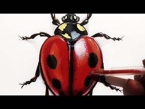 How To Draw A Hyperrealistic Bug 😀 Realistic Art Tutorial | Step by Step Guide 🐞