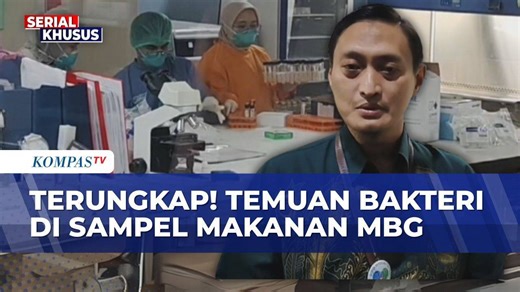 Labkesda Jabar Temukan Bakteri di Sampel Makanan MBG, Terbanyak Salmonella & Bacillus Cereus