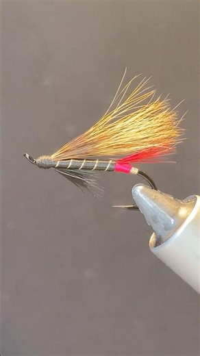 Red Butt Squirrel Tail