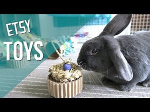Awesome Homemade Rabbit Toys