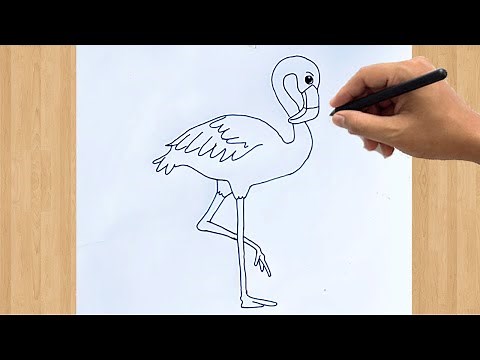How to Draw a Flamingo Drawing | Easy Flamingo Outline Sketch Step by Step For Beginners