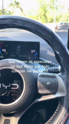 #bydseal #culiacan #mini | byd car