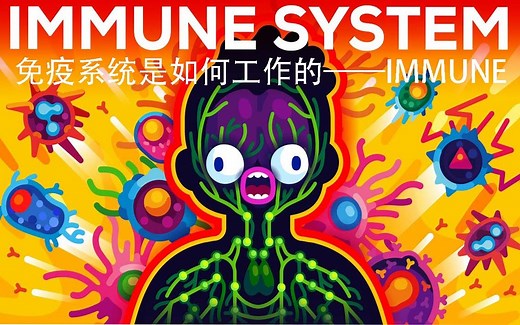 Kurzgesagt科普：免疫系统是如何工作的——IMMUNE（中英字幕）