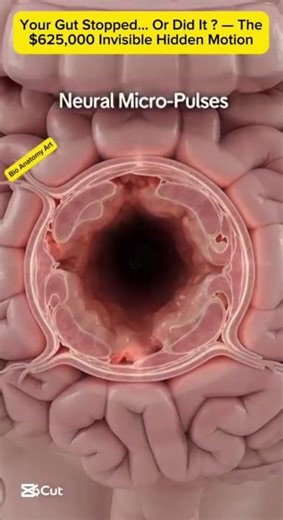 Your Gut Stopped… Or Did It? — The $625,000 Invisible Hidden Motion