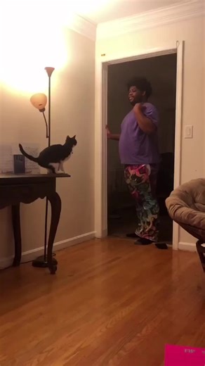 Funny Cat Video: The Superman Challenge
