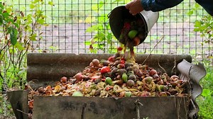 Organic waste falling from a bucket into a compost pit. Bio-waste recycling. Compost bin with organic waste. Bio food waste composting bin. Biodegradable material, organic recycling concept