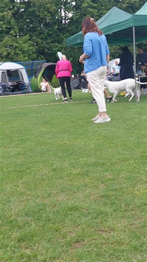 PEON del Capanga: Najlepszy szczeniak w rasie