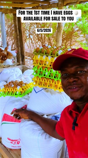 For the 1st time I have eggs for sale