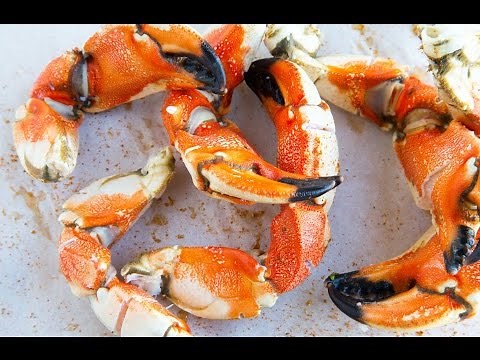 Sectioning and Shucking Jonah Crab / Fisherman's Market