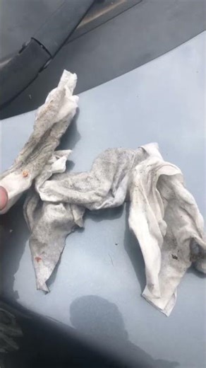 Restoring Faded Car Plastics With Polytrol Owatrol. #shorts