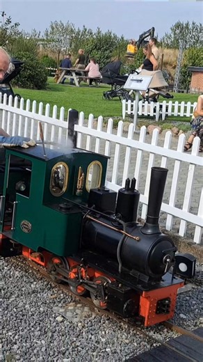 Miniature steam locomotives at Modelparken, Denmark 🇩🇰🚂 #train #railway #fyp